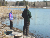 Shoreline Panfish